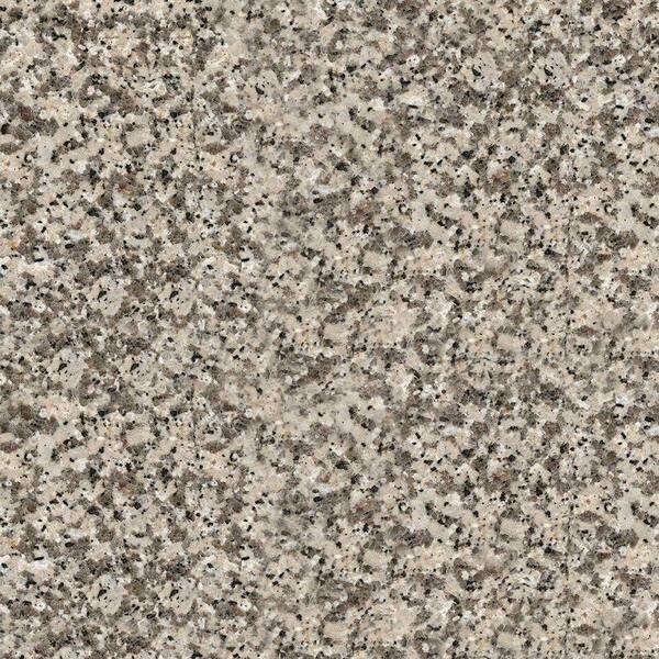 Solieque 4 in. x 4 in. Natural Granite Countertop Sample in Crema Caramel