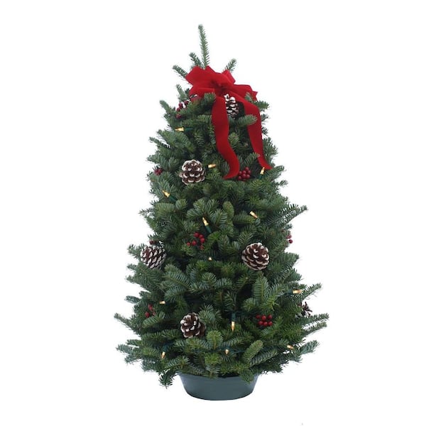 Worcester Wreath 28 in. Balsam Classic Fresh Cut Fresh Pre-Lit Tabletop Tree Arrangement : Multiple Ship Weeks Available