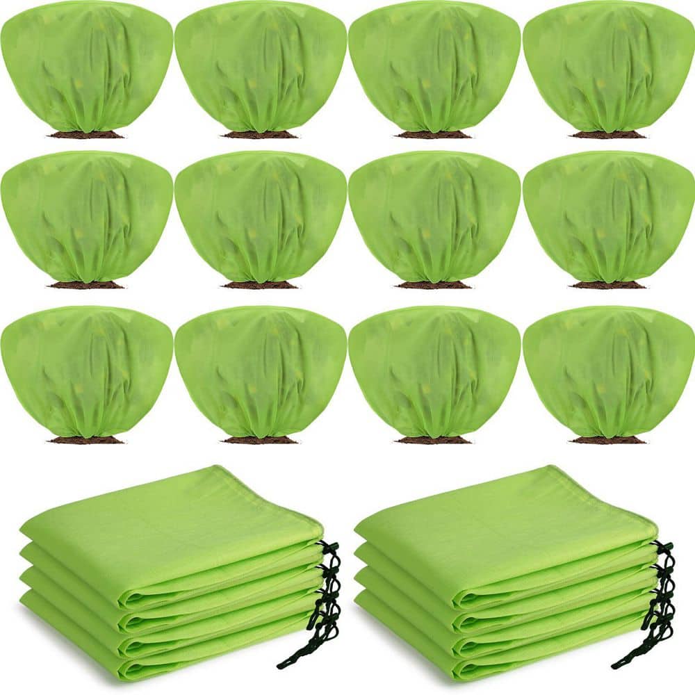 Best HD Pictures about  Plant Covers Home Depot  with No AI Images