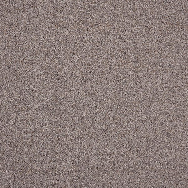 8 in. x 8 in. Texture Carpet Sample - Playful Moments II (M) -Color Whimsy