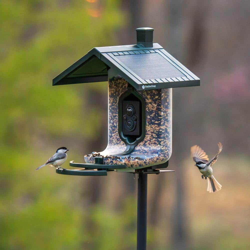 FeatherSnap Scout Wi-Fi Solar-Powered Hanging Tube Bird Feeder