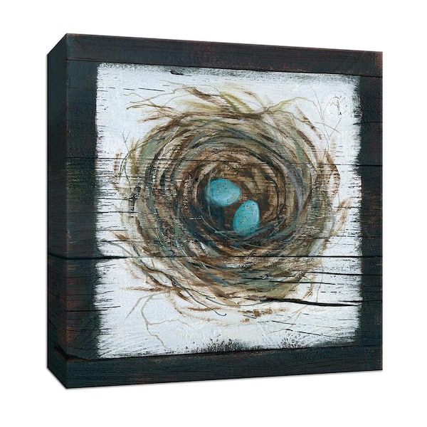 PTM Images 15 in. x 15 in. ''Stained Nest'' By Canvas Wall Art