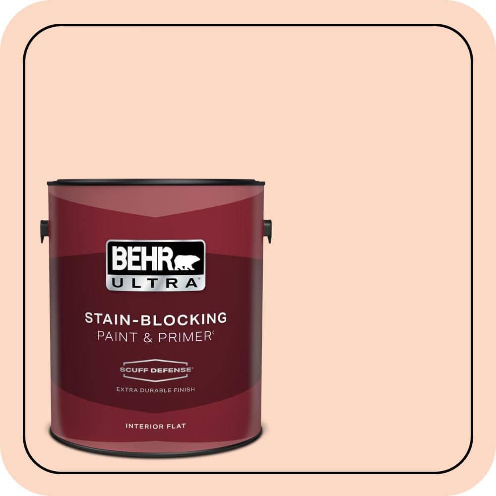 1 gal. #P190-1 Fire Mist Extra Durable Flat Interior Paint & Primer price history on PriceWatchPro