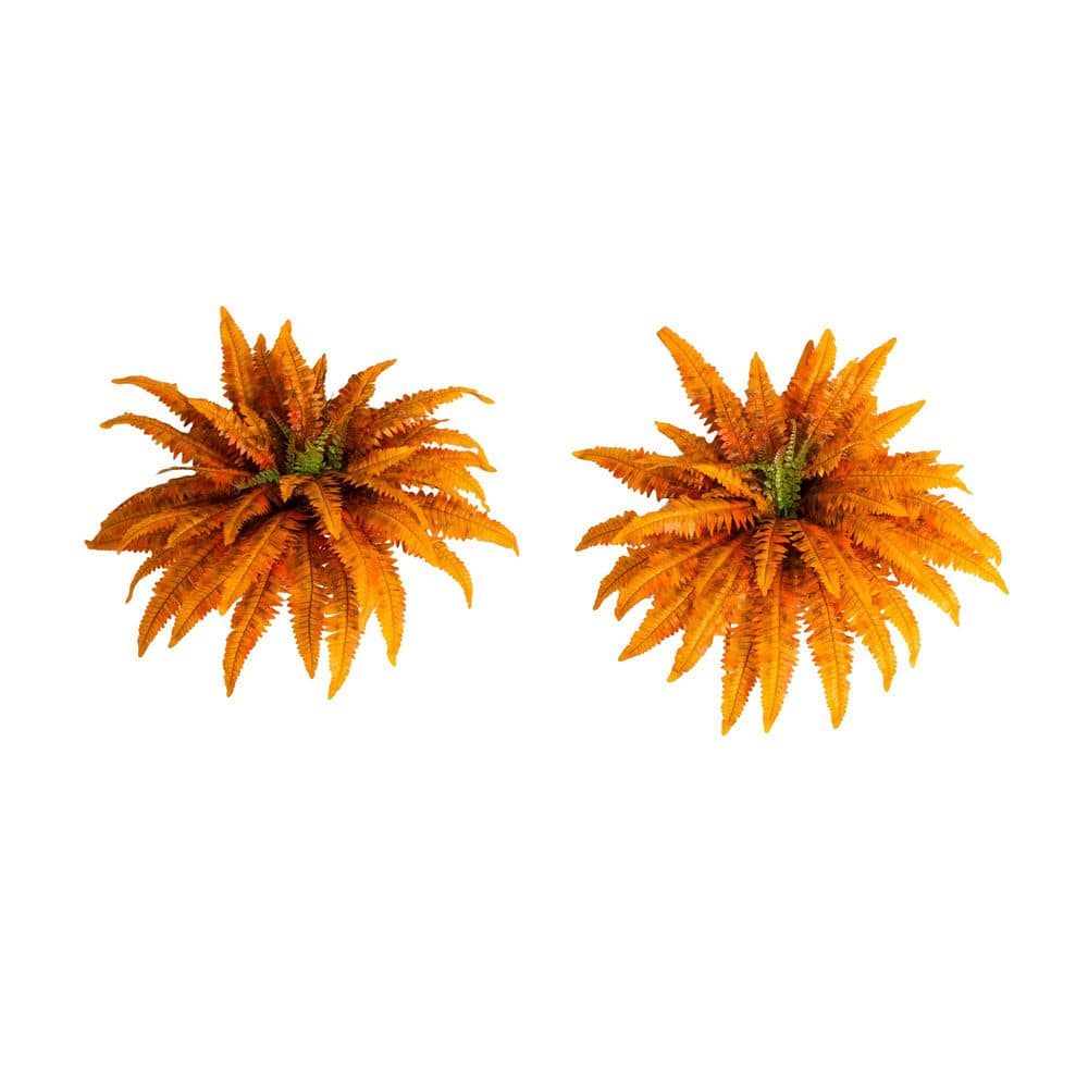 40 in. Autumn Artificial Fall Boston Fern - Set of 2 price history on PriceWatchPro