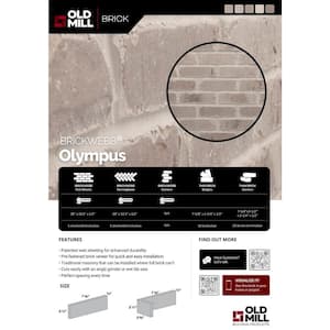 28 in. x 10.5 in. x 0.5 in. Brickwebb Olympus Thin Brick Sheets (Box of 5-Sheets)