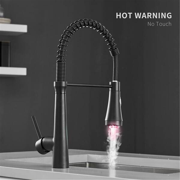 FLG Double Handle Kitchen Sink Faucet With Pull Down Sprayer Single Hole  Commercial Spring Modern Sink Tap in Matte Black CC-0058-MB - The Home Depot