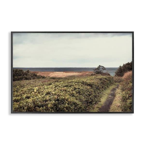 Stupell Industries Serene Coastal Pathway by Andy Amos Black Framed Nature Giclee Art Print 16 in. x 24 in.