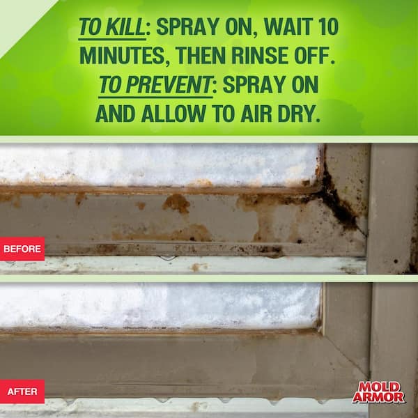 Mold Armor - 32 oz. Rapid Clean Remediation, Trigger Spray Bottle