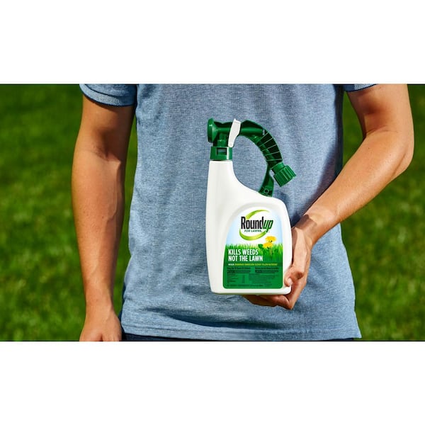 Roundup For Lawns 3 Ready To, Will Roundup Kill Spurweed