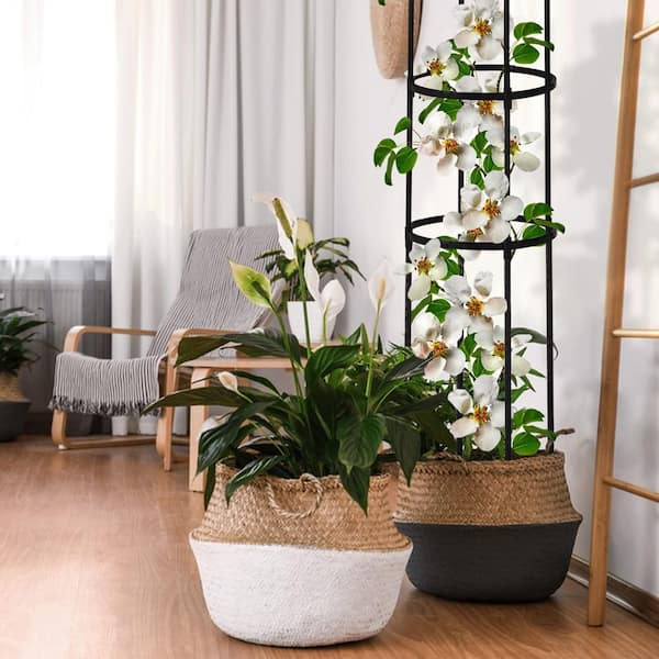 N/A 6 ft. Rustproof Metal Garden Obelisk Trellis Climbing Plant