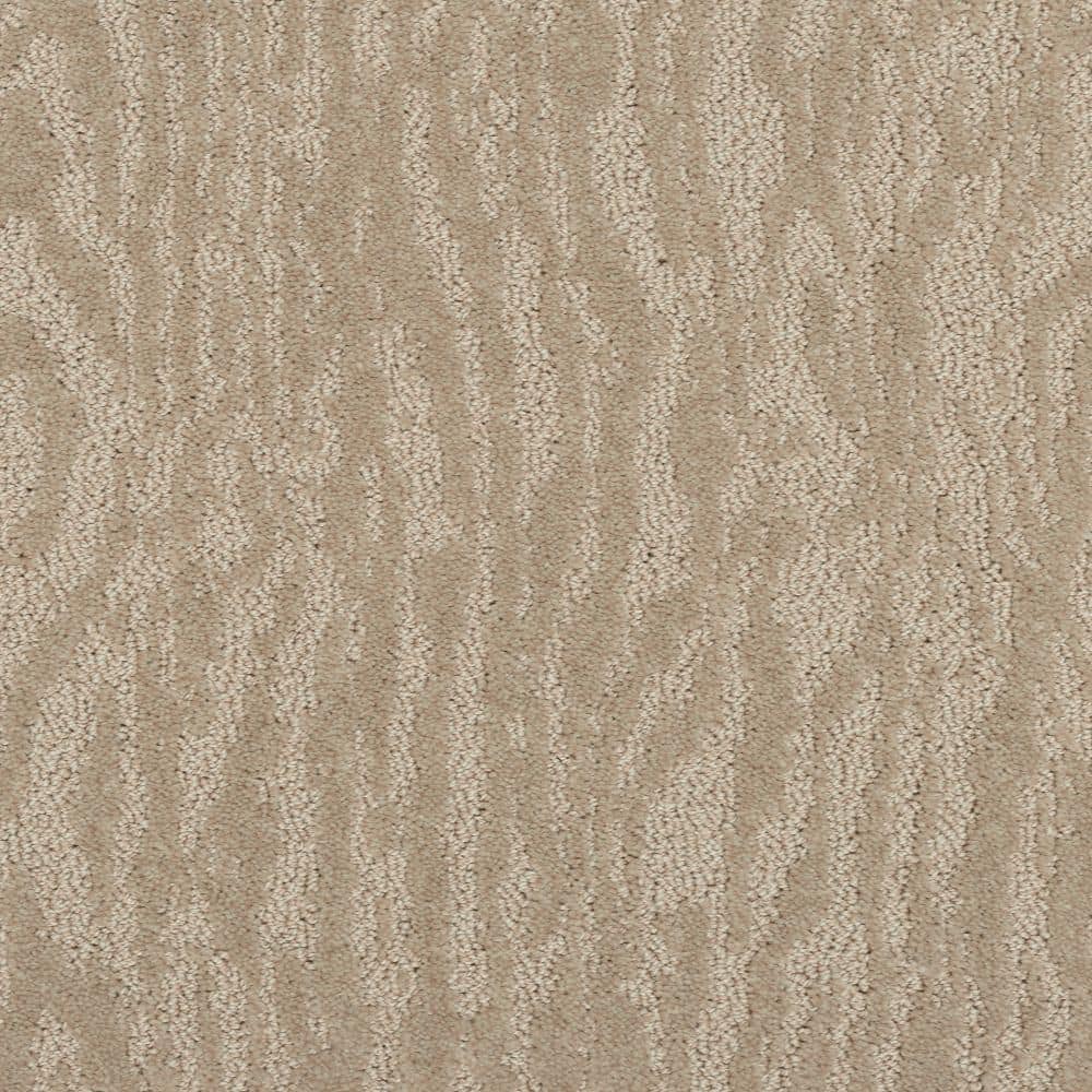 8 in. x 8 in. Pattern Carpet Sample-Classic Cabin-Color Grain price history on PriceWatchPro