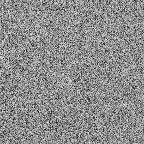 Velvetine III-Dream Gray-75 oz. SD Polyester Texture Carpet - Installation Required