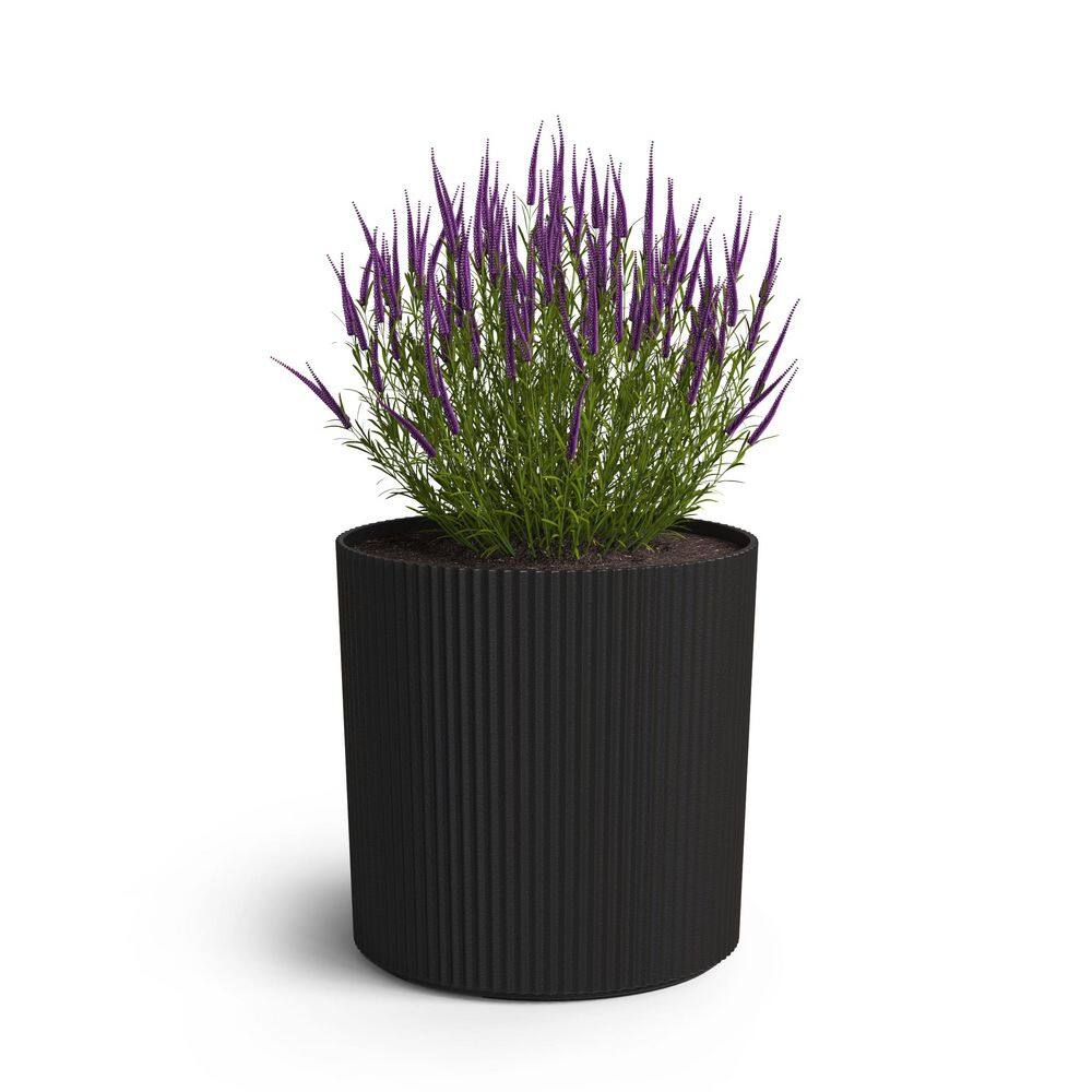 Serene 8 Gal. Black Plastic Indoor/Outdoor Planter with Drainage Holes (14 in. W x 14 in. H) price history on PriceWatchPro