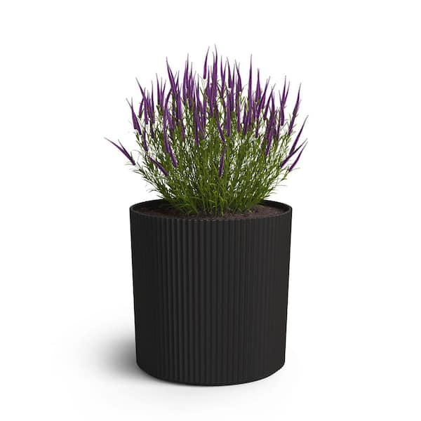 Serene 8 Gal. Black Plastic Indoor/Outdoor Planter with Drainage Holes (14  in. W x 14 in. H) 3072-B
