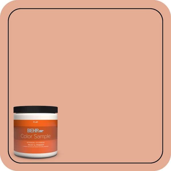BEHR PREMIUM PLUS 8 oz. #M200-4 Coral Cloud Flat Interior/Exterior Paint & Primer Color Sample