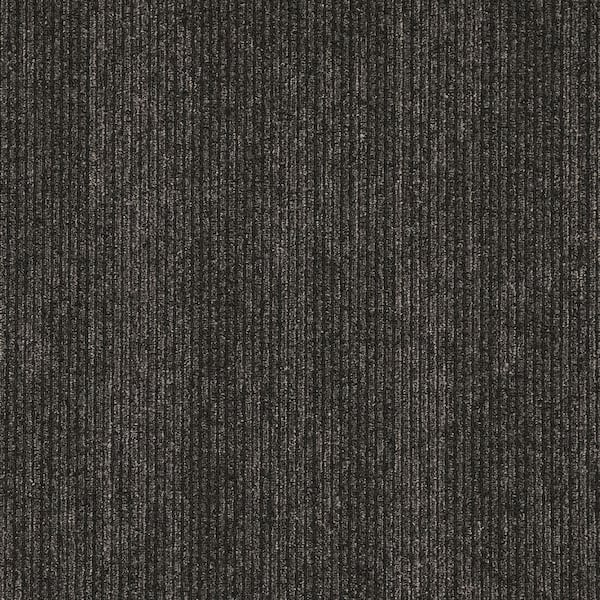 8 in. x 8 in. Textured Loop Carpet Sample - Elite -Color - Ebony