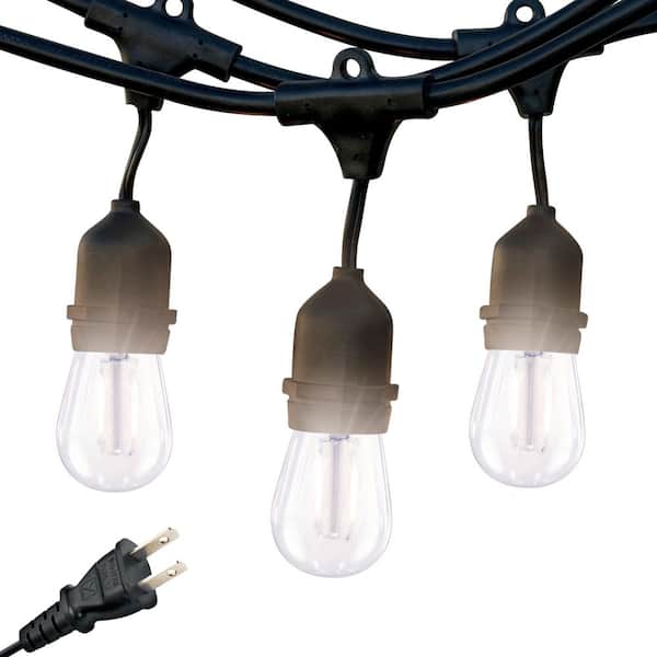 Ambience Pro 7-Light 24 ft. Indoor/Outdoor Plug-in 2W 3000K Neutral White LED S14 Edison Bulb String Lights