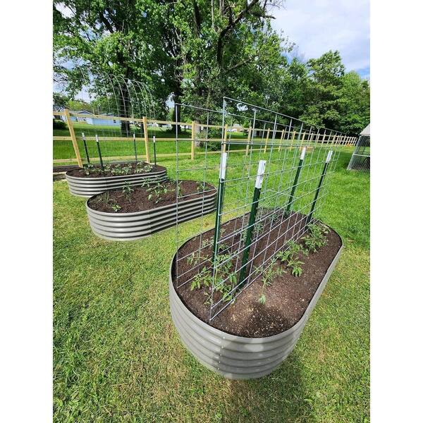 Cesicia 8 ft. L x 4 ft. W x 2 ft. H Outdoor Gray Galvanized Raised