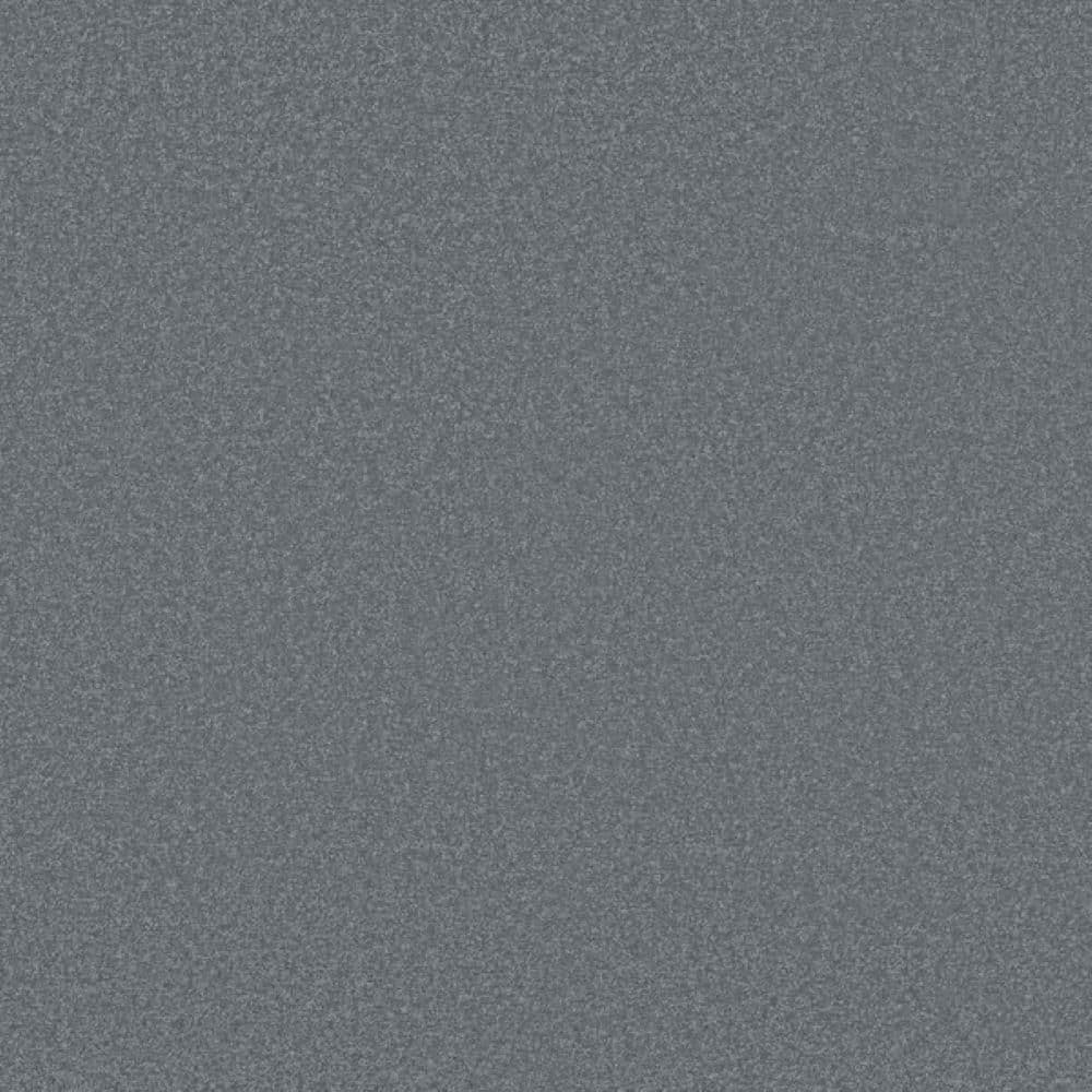 8 in. x 8 in. Texture Carpet Sample-Park Royal I-Color Slate price history on PriceWatchPro