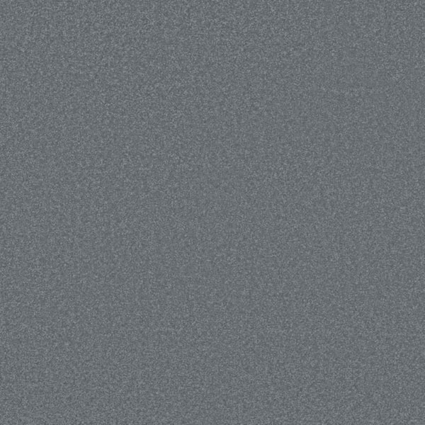 8 in. x 8 in. Texture Carpet Sample-Park Royal I-Color Slate