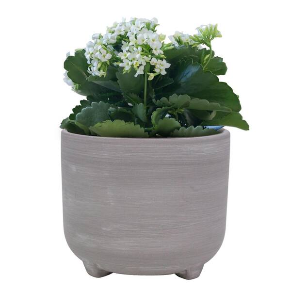 https://images.thdstatic.com/productImages/81208607-1276-4117-8701-e04c8f08371a/svn/grey-trendspot-plant-pots-ecr01818n-07h-1f_600.jpg