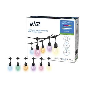Outdoor Plug-In LED String Light Color and Tunable White Powered by WiZ with Bluetooth 12-Light 48 ft. (1-Pack)