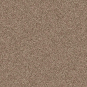 Watercolors I - Toast - Brown 28.8 oz. Polyester Texture Installed Carpet