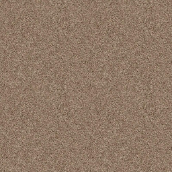 TrafficMaster Watercolors II - Briar Patch - Brown 38.4 oz