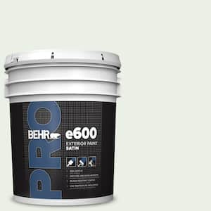 5 gal. #440C-1 Cool White Satin Exterior Paint