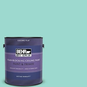 1 gal. #P440-3 Fish Pond Ceiling Flat Interior Paint and Primer