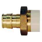 1/2 in. Brass PEX-A Barb x 1/2 in. CPVC Straight Adapter
