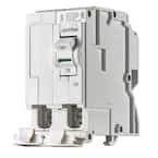 Branch Circuit Breaker, Standard 2-Pole 100 Amp, 120-Volt/240-Volt, Thermal Magnetic