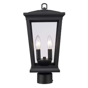 Turlock 2-Light Black Outdoor Lamp Post Light Fixture with Clear Glass