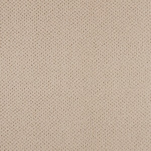 Pretty Penny  - Almost White - Beige 50 oz. Triexta Pattern Installed Carpet