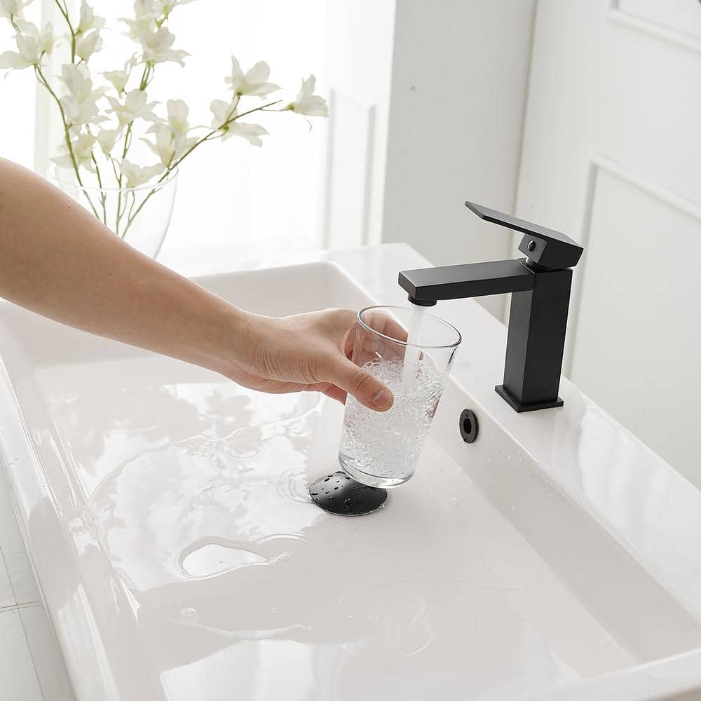 Matte Black Stainless Steel Single-Handle Bathroom Faucet