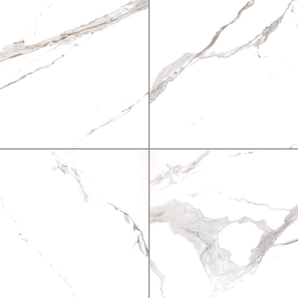 Ader Tegal 4 in. x 4 in. Polished Porcelain Marble Look Floor and Wall Tile Sample price history on PriceWatchPro
