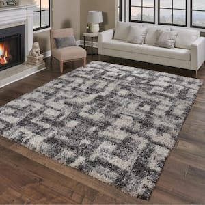 Anjou Gray 8 ft. x 10 ft. Abstract Shag Indoor Area Rug