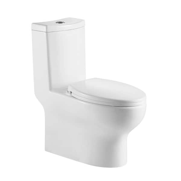 Eridanus Dual Flush 1.1 GPF/1.6 GPF High Efficiency Skirted Toilet Elongated All-in-One Toilet in White