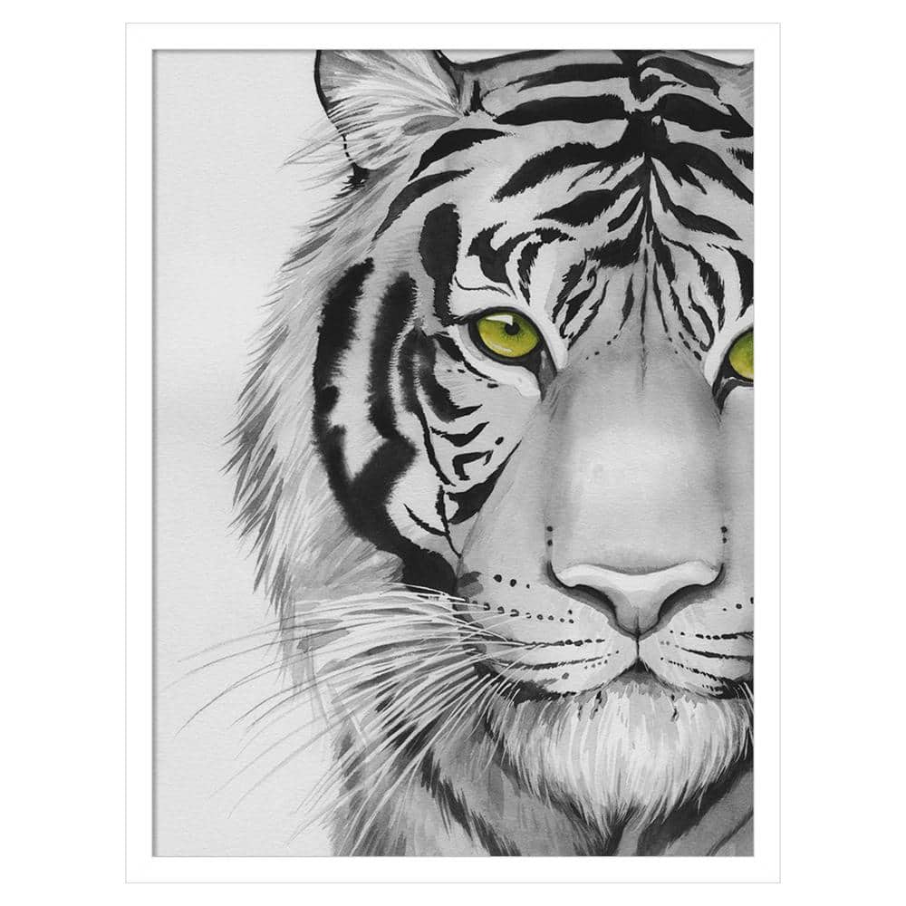 Snow Tigre II by Grace Popp 19 in. W x 25 in. H. Wood Framed Wall Art Print Framed in White price history on PriceWatchPro