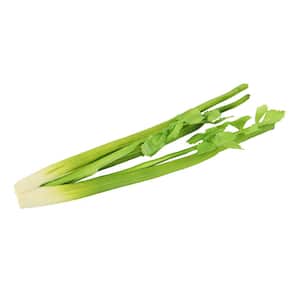 Artificial Real Touch Celery