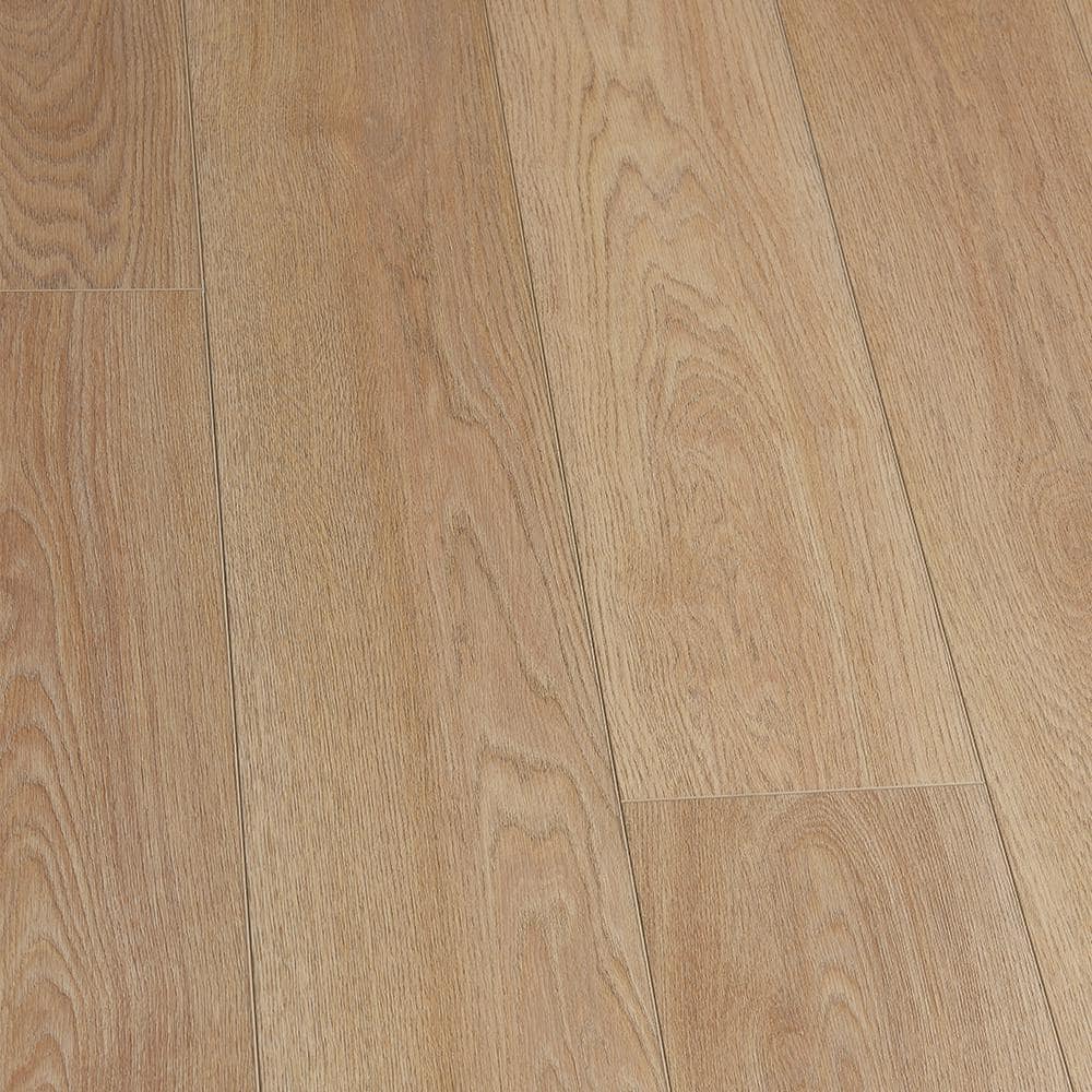 Take Home Sample - French Oak Dankos Click Lock Waterproof Luxury Vinyl Plank Flooring price history on PriceWatchPro