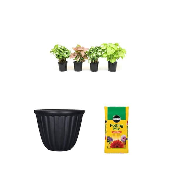 4.25 in. Arrowhead Vine Assorted Pack (4-Pack), 22 in. Resin Indoor/Outdoor Pot, and 50 qt. Potting Mix Combo