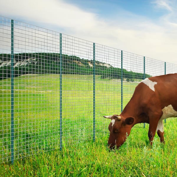 6 ft. Fence Post, T-Post Heavy-Duty Metal Fence Posts, Sturdy Steel Fence Stakes for Garden Yard, Lawn, Green (10-Pack)