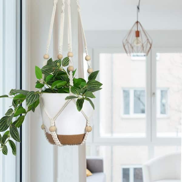 Plastic Indoor/Outdoor Hanging Planter with Macrame 3 Different Size  (3-Pack) Z0BFDKFC47 - The Home Depot