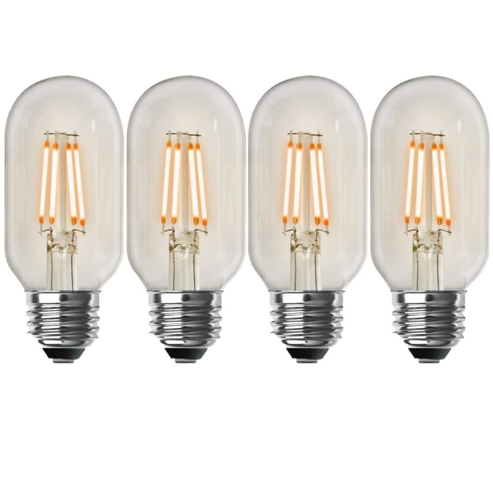 Lot of 20 Feit LED Edison Vintage Style Light Bulb 40W New & Free Shipping 