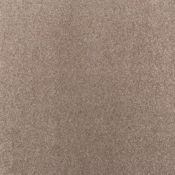 Lifeproof with Petproof Technology Waking Up II Harmony Gray 56 oz. Triexta Textured Installed Carpet