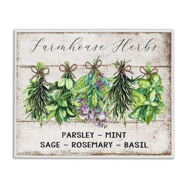 Stupell Industries Vintage Farm Market Herbs by Creatif Belle White Framed Food Giclee Art Print 24 in. x 30 in.