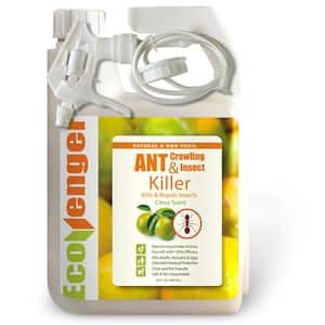 Ant Insect Killer/Repellent by EcoRaider 32OZ, Instant Kill, 4-Week Deterrence, Plant-Based, Child/Pet-Safe
