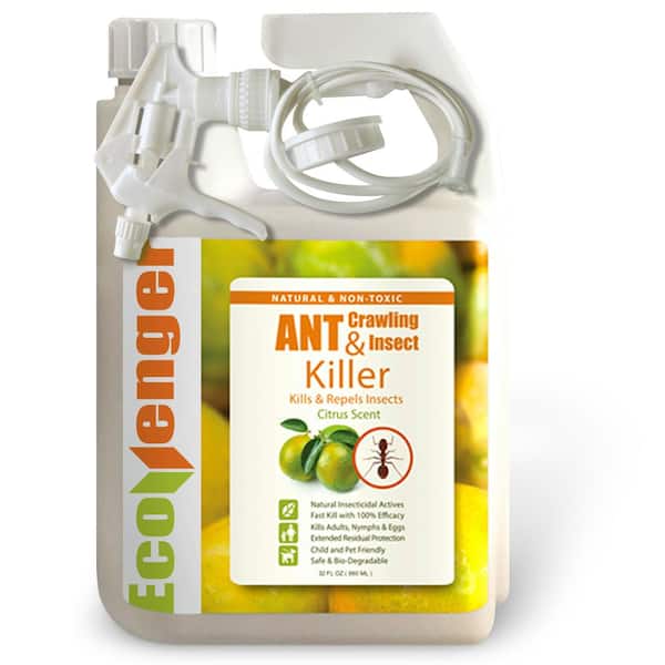 Ant Insect Killer/Repellent by EcoRaider 32OZ, Instant Kill, 4-Week Deterrence, Plant-Based, Child/Pet-Safe