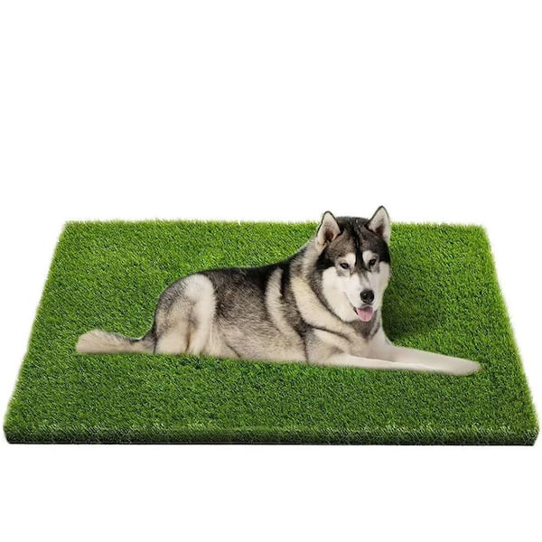 47.3 in. x 31.5 in. Artificial Grass Mixed Sod Plugs with Drainage Holes for Outdoor Rug, Garden, Patio and Lawn(1-Pack)